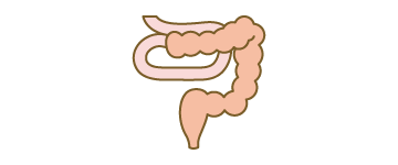 短腸症候群についてのイメージ図