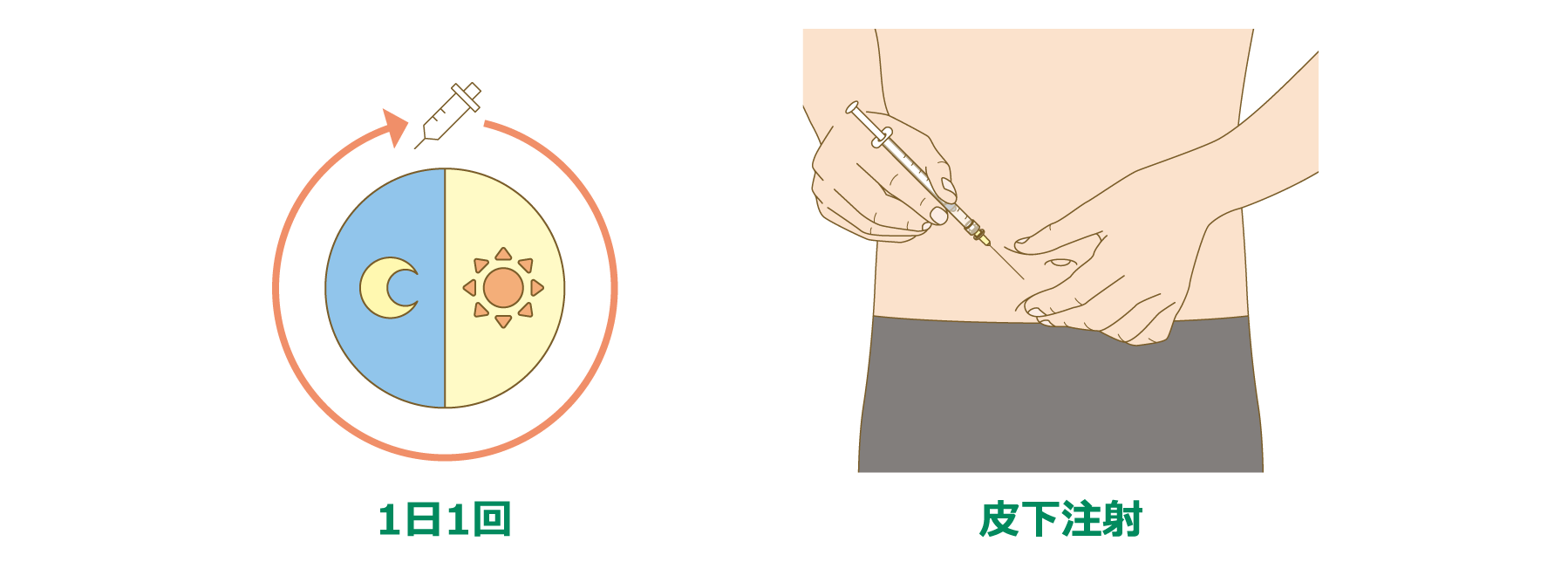 レベスティブの作用